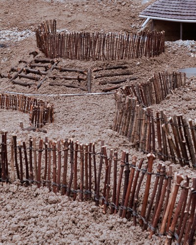 Successional Dwellings - Flon II