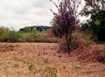 Penthaz (VD), En Colliare, ordures ménagères, scories, et déchets de chantiers/terre d'excavation, de 1980 à 1996. Photo © Solène Hoffmann