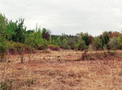 Penthaz (VD), En Colliare, ordures ménagères, scories, et déchets de chantiers/terre d'excavation, de 1980 à 1996. Photo © Solène Hoffmann